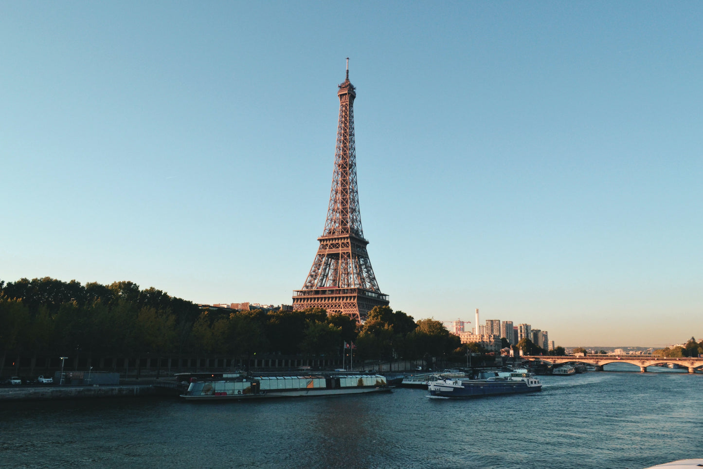 Eiffel Tower tour with Private tour guide